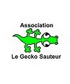 Photo de Association Le Gecko Sauteur Photo de Association Le Gecko Sauteur