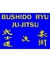 Photo de Bushido Ryu Ju-Jitsu Chavannes Photo de Bushido Ryu Ju-Jitsu Chavannes