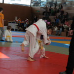 Tournoi de Printemps 2014 (29)